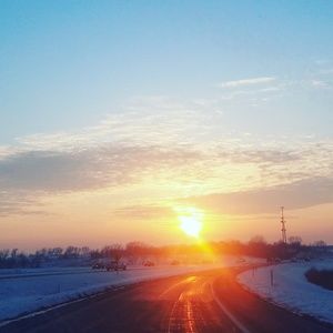 Meet your Posher, Lily